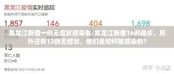 黑龙江新增一例无症状感染者/黑龙江新增16例确诊,另外还有12例无症状,他们是如何被感染的? 黑龙江新增一例无症状感染者/黑龙江新增16例确诊,另外还有12例无症状,他们是如何被感染的?