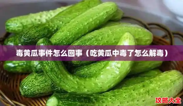 毒黄瓜事件怎么回事(吃黄瓜中毒了怎么解毒) 毒黄瓜事件怎么回事(吃黄瓜中毒了怎么解毒)