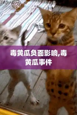 毒黄瓜负面影响,毒黄瓜事件 毒黄瓜负面影响,毒黄瓜事件