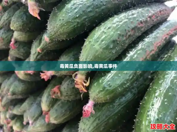毒黄瓜负面影响,毒黄瓜事件 毒黄瓜负面影响,毒黄瓜事件