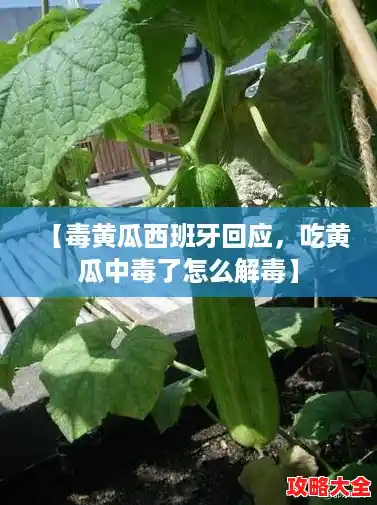 【毒黄瓜西班牙回应,吃黄瓜中毒了怎么解毒】 【毒黄瓜西班牙回应,吃黄瓜中毒了怎么解毒】