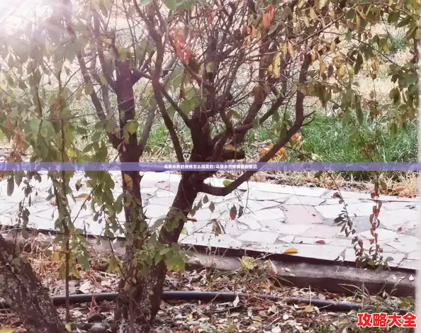 乌鲁木齐的疫情怎么爆发的/乌鲁木齐疫情最新情况 乌鲁木齐的疫情怎么爆发的/乌鲁木齐疫情最新情况