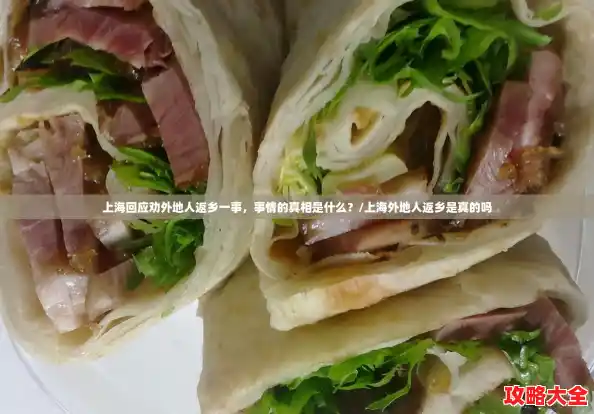 上海回应劝外地人返乡一事,事情的真相是什么?/上海外地人返乡是真的吗 上海回应劝外地人返乡一事,事情的真相是什么?/上海外地人返乡是真的吗