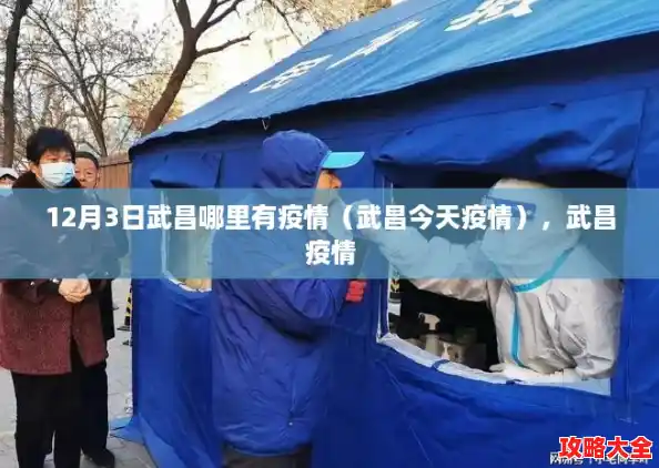 12月3日武昌哪里有疫情（武昌今天疫情），武昌疫情