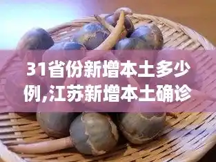 31省份新增本土多少例,江苏新增本土确诊53例扬州52例