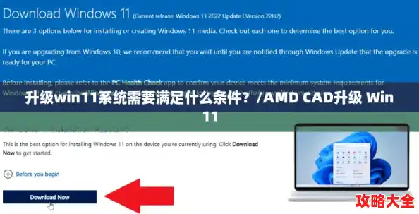 升级win11系统需要满足什么条件？/AMD CAD升级 Win11