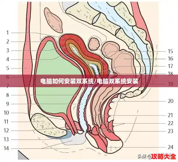 电脑如何安装双系统/电脑双系统安装