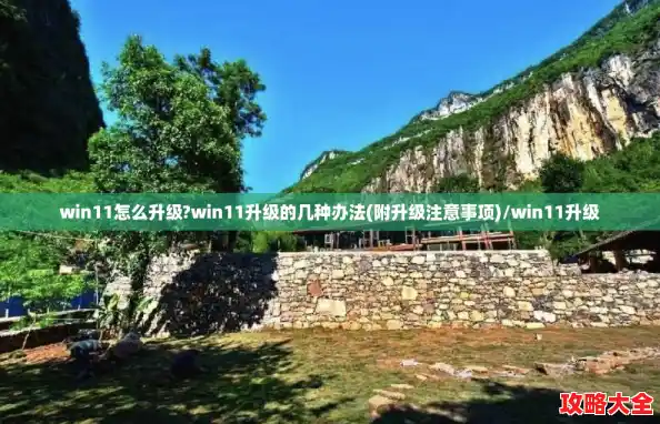 win11怎么升级?win11升级的几种办法(附升级注意事项)/win11升级
