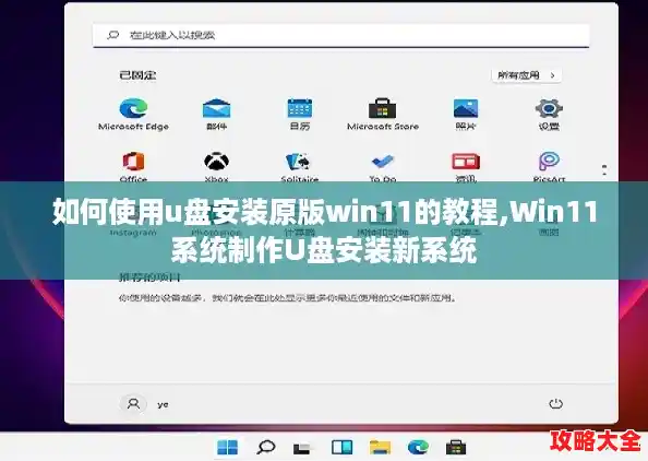 如何使用u盘安装原版win11的教程,Win11系统制作U盘安装新系统