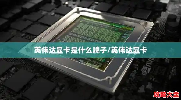 英伟达显卡是什么牌子/英伟达显卡