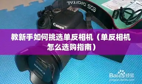 教新手如何挑选单反相机（单反相机怎么选购指南）