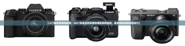 【入门级单反相机推荐，2021年适合初学者的相机如何选择，单反相机选择经验技巧】