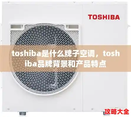 toshiba是什么牌子空调，toshiba品牌背景和产品特点