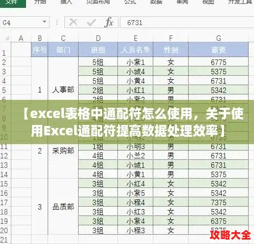 【excel表格中通配符怎么使用，关于使用Excel通配符提高数据处理效率】