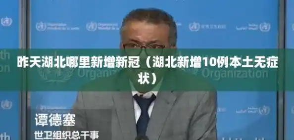 昨天湖北哪里新增新冠(湖北新增10例本土无症状) 昨天湖北哪里新增新冠(湖北新增10例本土无症状)
