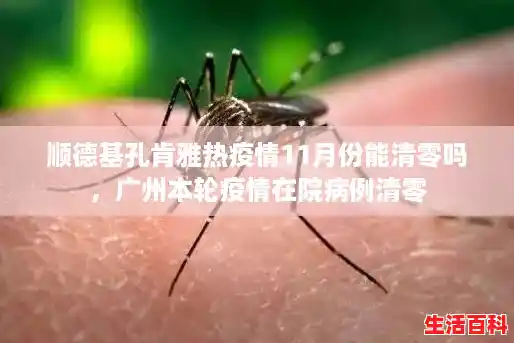 顺德基孔肯雅热疫情11月份能清零吗,广州本轮疫情在院病例清零 顺德基孔肯雅热疫情11月份能清零吗,广州本轮疫情在院病例清零