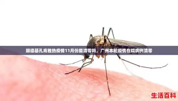 顺德基孔肯雅热疫情11月份能清零吗,广州本轮疫情在院病例清零 顺德基孔肯雅热疫情11月份能清零吗,广州本轮疫情在院病例清零