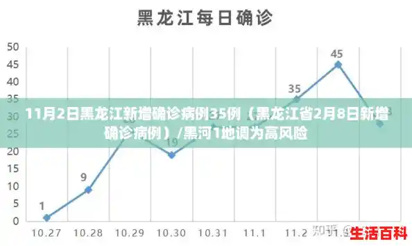 11月2日黑龙江新增确诊病例35例（黑龙江省2月8日新增确诊病例）/黑河1地调为高风险