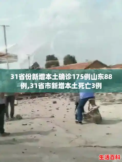 31省份新增本土确诊175例山东88例,31省市新增本土死亡3例 31省份新增本土确诊175例山东88例,31省市新增本土死亡3例
