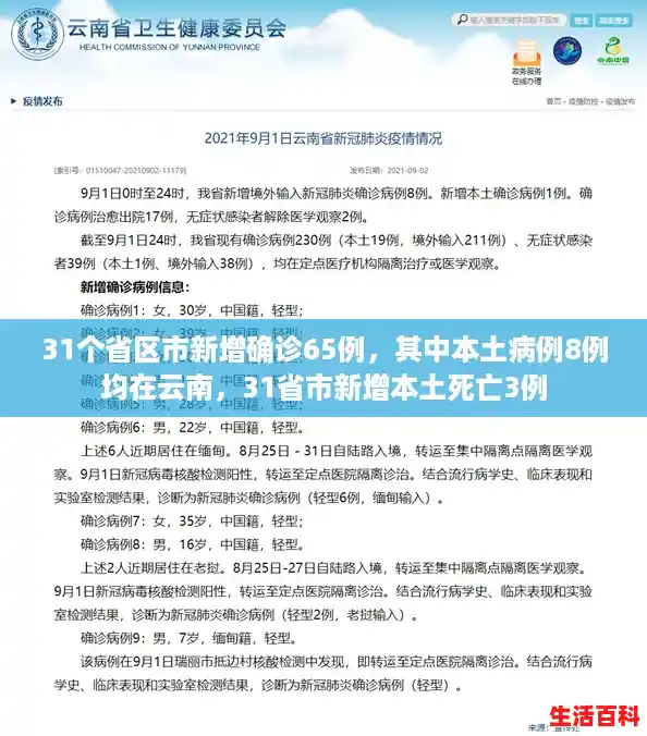 31个省区市新增确诊65例，其中本土病例8例均在云南，31省市新增本土死亡3例