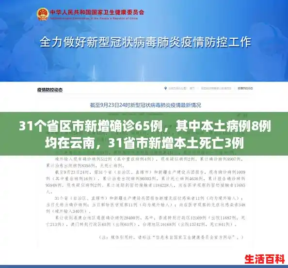 31个省区市新增确诊65例，其中本土病例8例均在云南，31省市新增本土死亡3例