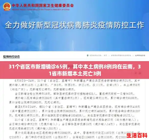 31个省区市新增确诊65例，其中本土病例8例均在云南，31省市新增本土死亡3例
