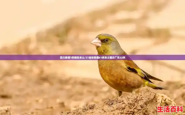 四川新增1例疑似本土/31省份新增61例本土确诊广东22例