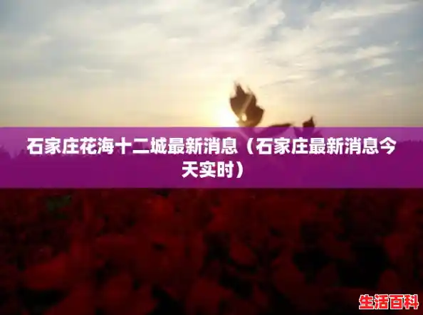 石家庄花海十二城最新消息（石家庄最新消息今天实时）