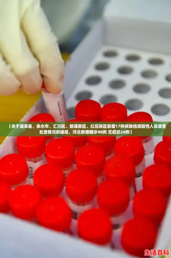 【关于湄潭县、赤水市、汇川区、新蒲新区、红花岗区新增17例核酸检测阳性人员调查处置情况的通报，河北新增确诊40例 无症状26例】