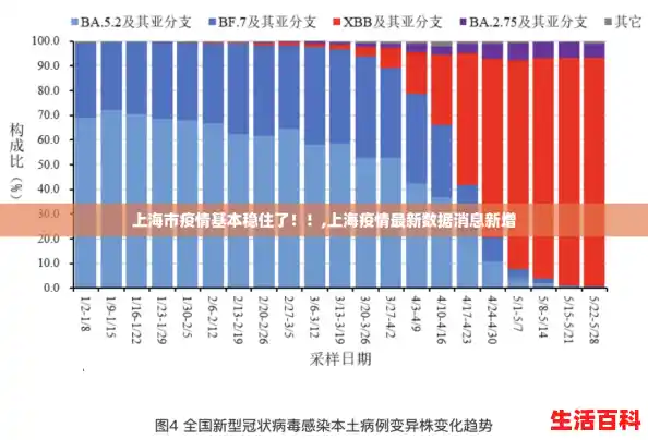 上海市疫情基本稳住了！！,上海疫情最新数据消息新增