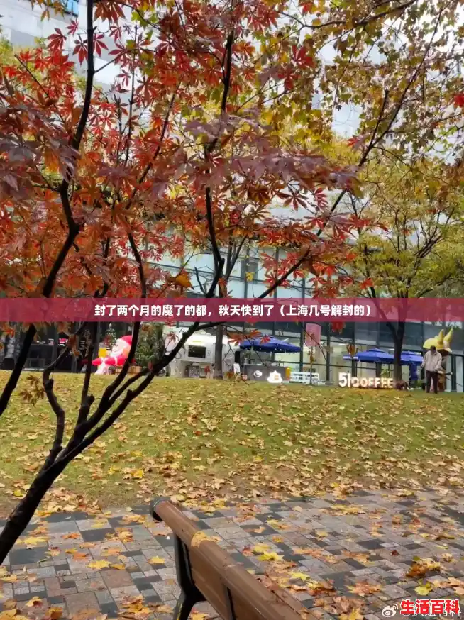 封了两个月的魔了的都，秋天快到了（上海几号解封的）