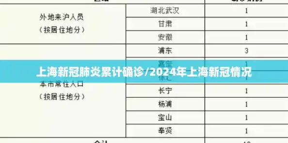 上海新冠肺炎累计确诊/2024年上海新冠情况