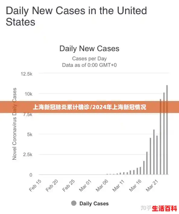 上海新冠肺炎累计确诊/2024年上海新冠情况