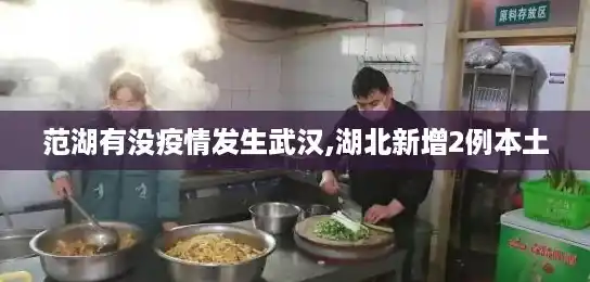 范湖有没疫情发生武汉,湖北新增2例本土