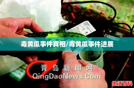 毒黄瓜事件真相/毒黄瓜事件进展 毒黄瓜事件真相/毒黄瓜事件进展
