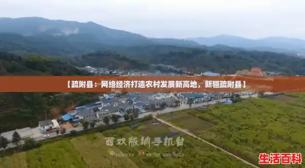 【疏附县：网络经济打造农村发展新高地，新疆疏附县】