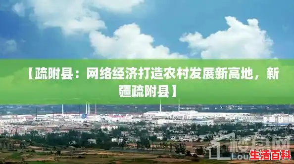 【疏附县：网络经济打造农村发展新高地，新疆疏附县】