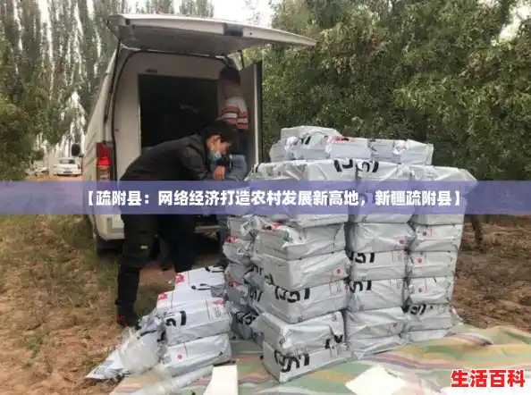 【疏附县：网络经济打造农村发展新高地，新疆疏附县】