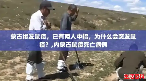 蒙古爆发鼠疫，已有两人中招，为什么会突发鼠疫？,内蒙古鼠疫死亡病例