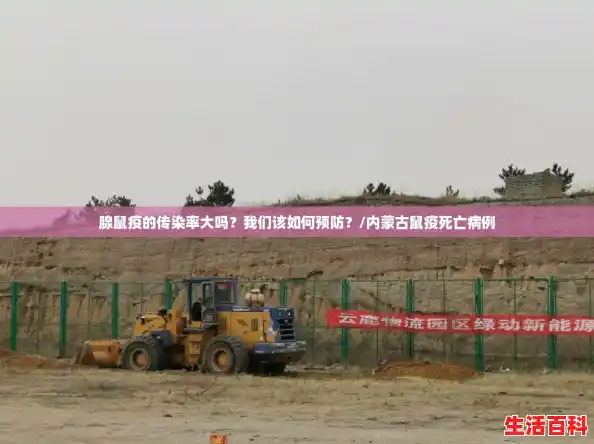 腺鼠疫的传染率大吗？我们该如何预防？/内蒙古鼠疫死亡病例