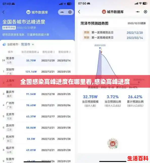 全国感染高峰进度在哪里看,感染高峰进度