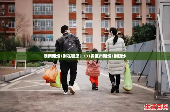 湖南新增1例在哪里？/31省区市新增1例确诊