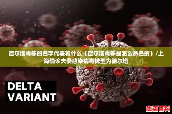 德尔塔毒株的名字代表着什么（德尔塔毒株是怎么命名的）/上海确诊夫妻感染病毒株型为德尔塔