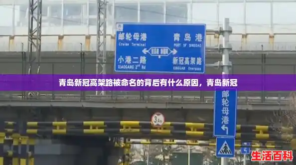 青岛新冠高架路被命名的背后有什么原因，青岛新冠