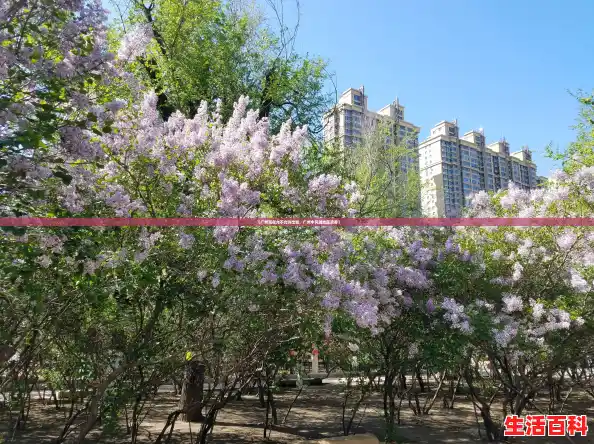 【广州现在允不允许出城,广州中风险地区清零】 【广州现在允不允许出城,广州中风险地区清零】