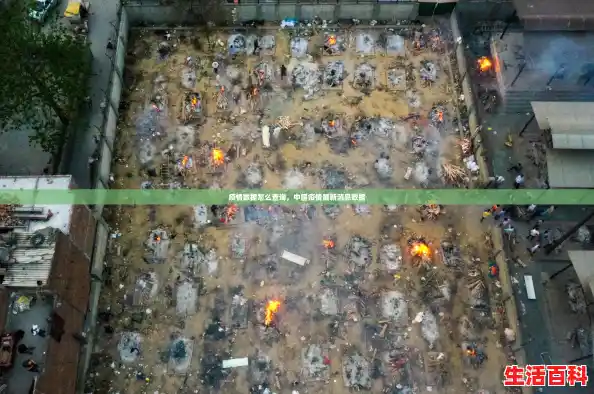 疫情数据怎么查询,中国疫情最新消息数据 疫情数据怎么查询,中国疫情最新消息数据