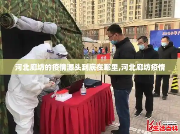 河北廊坊的疫情源头到底在哪里,河北廊坊疫情
