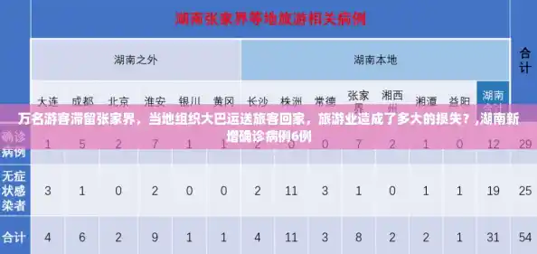 万名游客滞留张家界,当地组织大巴运送旅客回家,旅游业造成了多大的损失?,湖南新增确诊病例6例 万名游客滞留张家界,当地组织大巴运送旅客回家,旅游业造成了多大的损失?,湖南新增确诊病例6例