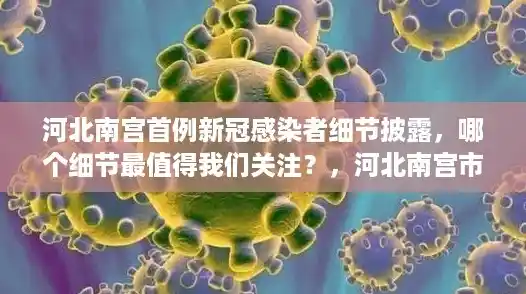 河北南宫首例新冠感染者细节披露,哪个细节最值得我们关注?,河北南宫市新增12例确诊 河北南宫首例新冠感染者细节披露,哪个细节最值得我们关注?,河北南宫市新增12例确诊