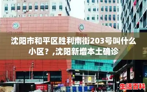 沈阳市和平区胜利南街203号叫什么小区?,沈阳新增本土确诊 沈阳市和平区胜利南街203号叫什么小区?,沈阳新增本土确诊